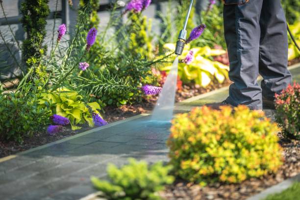 Best Winterizing Services  in Lwa, CA